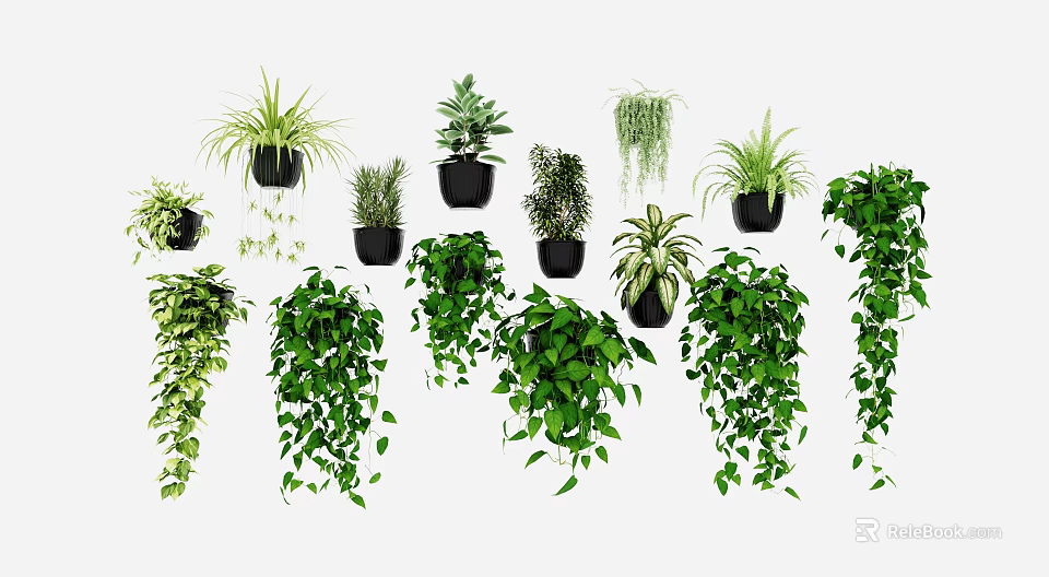 Lush Hanging Basket Plants for Indoor Decor with Various Green Species 3d model 