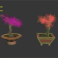 Two Ornamental Potted Green Trees In Round And Square Red Planters On Dark Surface