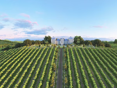 Expansive Vineyard With Neat Grapevines And Grand Mansion Under Blue Sky 3d model