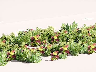 Modern Plant Flower Border Plant Group model