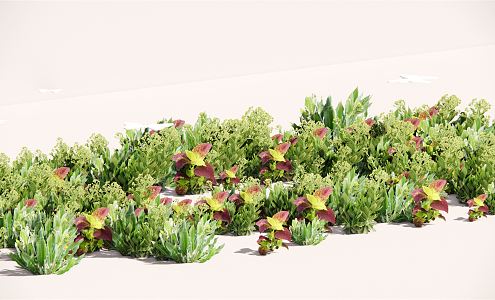 Modern Plant Flower Border Plant Group 3d model