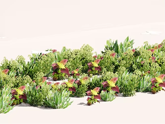 Modern Plant Flower Border Plant Group 3d model