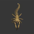 Golden Mechanical Scorpion Game Movie Character Featuring Intricate Blue Accents And Armored Exoskeleton
