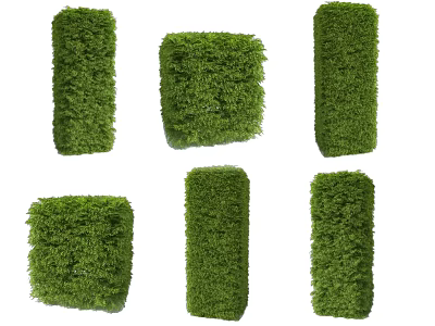Trimmed Green Shrubs in Various Geometric Shapes for Landscape Garden Design 3d model