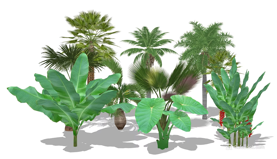 Tropical Garden Trees With Palm Banana Plants And Large Green Leaves 3d model 