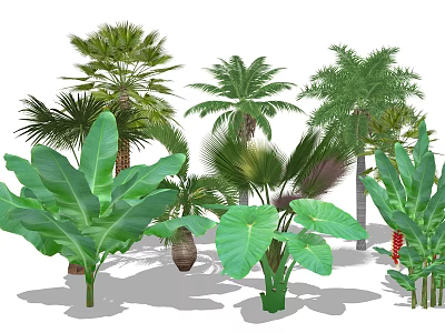 Tropical Garden Trees With Palm Banana Plants And Large Green Leaves 3d model