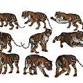 Modern Tiger Combination Animal 3d model
