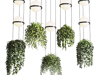 Modern hanging basket green plant hanging basket chandelier 3d model