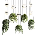 Modern hanging basket green plant hanging basket chandelier 3d model