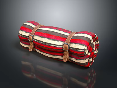 Backpack Camping Backpack Handbag Duffel Bag Travel Bag 3d model