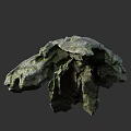 Rough Textured Natural Stone Material with Green Moss Organic Shape and Earthy Appearance Design
