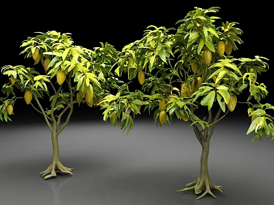 Two Fruit Trees With Green Leaves And Yellow Fruits On Black Background 3d model
