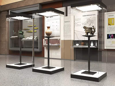 Museum Exhibition Hall With Glass Display Cases Ancient Artifacts And Information Panels 3d model