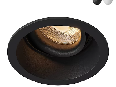 Modern Recessed Downlight Spotlight in Black and White for Ceiling Lighting 3d model