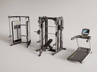 Modern Home Gym Fitness Equipment With Multi Station Machine Treadmill And Single Station Trainer 3d model