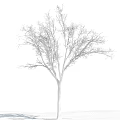 Bare Branch Arbor Standing Against Clear Blue Sky With White Clouds 3d model