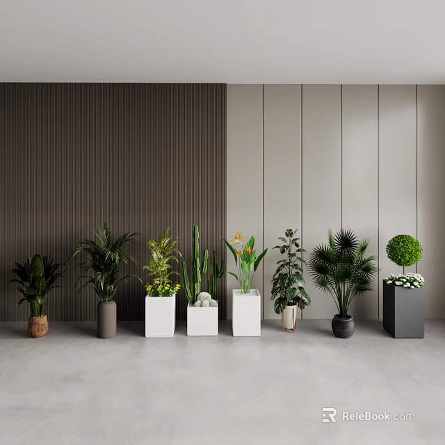 Indoor Potted Plants Display With Various Greenery Different Containers And Wall Background 3d model 