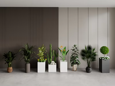 Crane Orchid Fairy Pillar Palm Tree Small Leaf Privet Turtle Bamboo 3d model