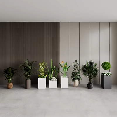 Indoor Potted Plants Display With Various Greenery Different Containers And Wall Background 3d model
