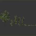 Cartoon Scene With Various Sizes of Green Trees and Glowing Elements on Reflective Surface