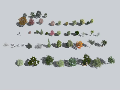 Different Types Of Trees With Various Sizes And Colorful Foliage In Collection 3d model