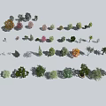 Different Types Of Trees With Various Sizes And Colorful Foliage In Collection
