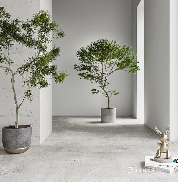Modern Bonsai Potted Plants In Gray Pots Against White Wall And Concrete Floor 3d model 