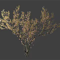 Tree Pit With Flowering Tree Branches And Pink Green Leaves Trunk Roots 3d model