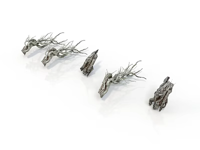 Several Dried Tree Branches Arranged On White Background Display Natural Texture 3d model