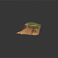 Modern Landscape Mound Featuring Green Plants Exposed Roots and Brown Soil