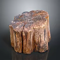 Unique Petrified Wood Stump Decor With Natural Texture For Home