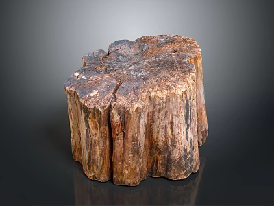 Unique Petrified Wood Stump Decor With Natural Texture For Home 3d model