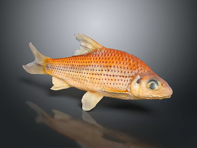 Fish Shaped Decorative Home Ornament With Orange Striped Design For Living Room 3d model