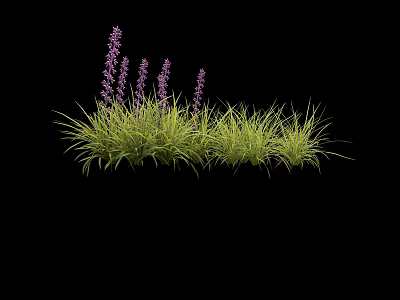 Vibrant Purple Flowers With Lush Green Grass In Natural Garden Setting 3d model
