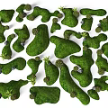 Irregular Green Moss Covered Decorative Shapes With Small Trees And Plants 3d model
