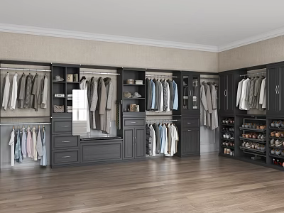 Modern Dark Gray Walk-in Closet With Hanging Clothes Mirror Drawers And Shoe Storage 3d model