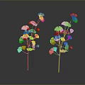 Ornamental Indoor Plants With Yellow And Gray Fan Shaped Leaves On Thin Stems