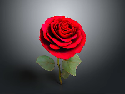 Beautiful Red Rose Plant with Green Leaves and Stem on Gray Background 3d model