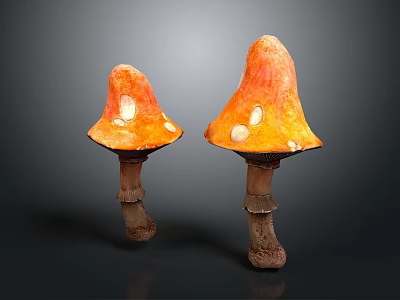 Two Orange Mushrooms With White Spots And Stems On Dark Background 3d model
