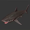 Realistic 3D Model of Shark with Open Mouth Gray Body and White Underbelly