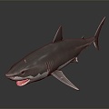 Modern shark great white shark whale cartoon whale mammal 3d model