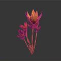 Vibrant Red and Yellow Flower Plant with Petals and Black Stems on Gray Background