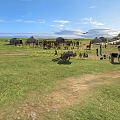 Picturesque Vast Peaceful Grassland Landscape With Mongolian Yurts Grazing Livestock Under Bright Blue Sky