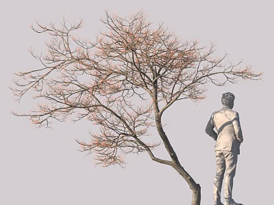 Person Standing Beside Bare Tree With Few Pink Leaves In Gray Background 3d model