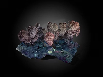 Vibrant Abstract Leaf Sculpture With Metallic Texture On Dark Decorative Base 3d model