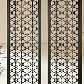 Modern Decorative Partition With Geometric Lattice Design For Indoor Space And Green Plant