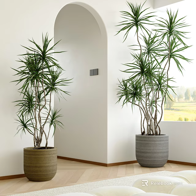 Indoor Potted Bonsai Plants Decor With Woven And Gray Planters In Room 3d model 
