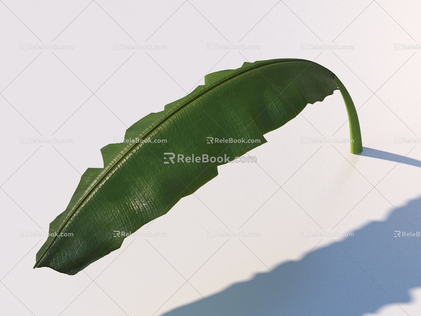 vegetables, vegetable leaves, leaves, food 3d model