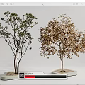 Modern Tree Landscape Tree 3d model
