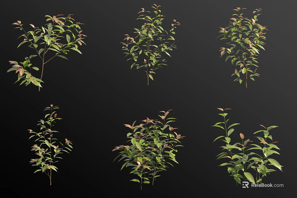 Diverse Arbor Specimens Featuring Green And Red Foliage In Various Sizes 3d model